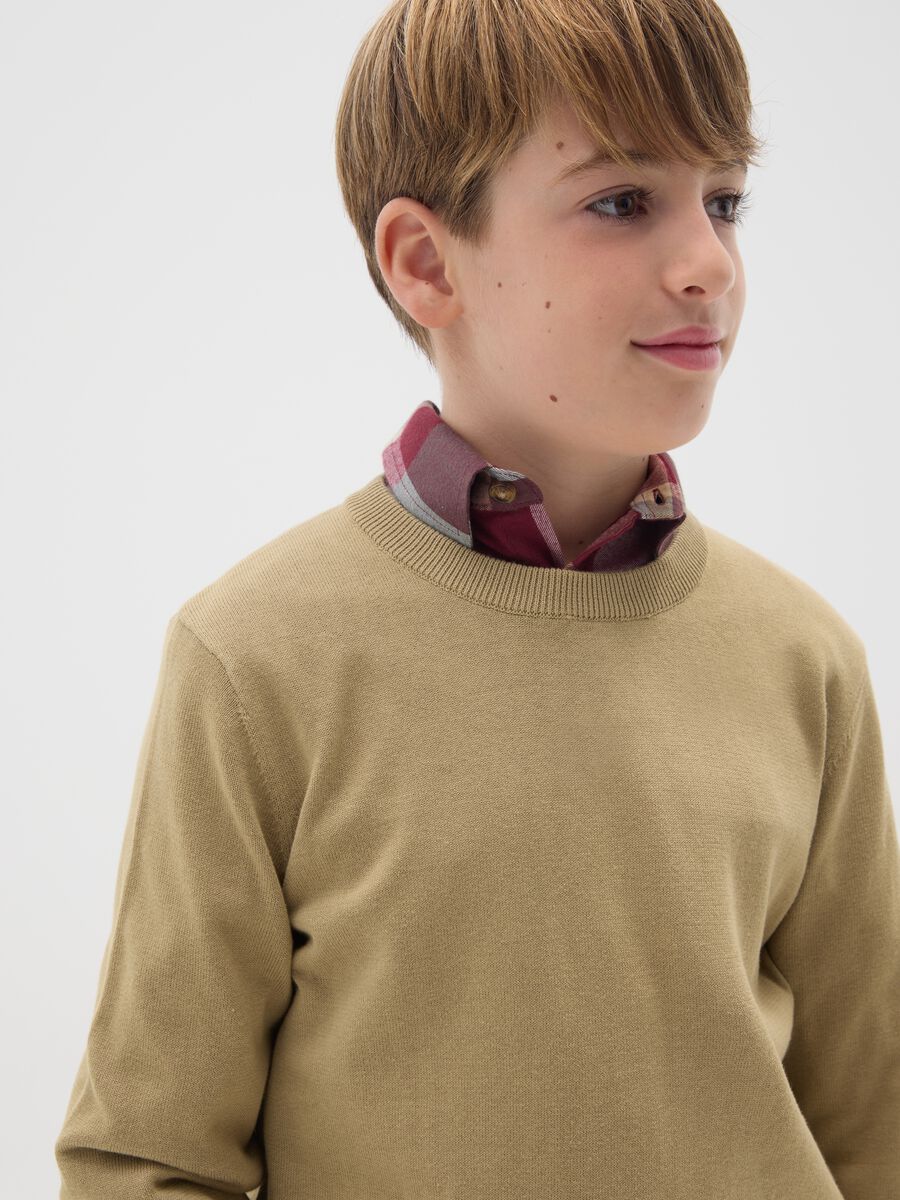 Boys' Pure Cotton Beige Sweater - Regular Fit_2