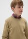 Boys' Pure Cotton Beige Sweater - Regular Fit_2