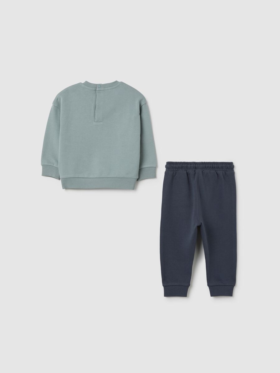Set felpa e pantaloni da bambino in puro cotone azzurro regular fit con stampa Stitch_1
