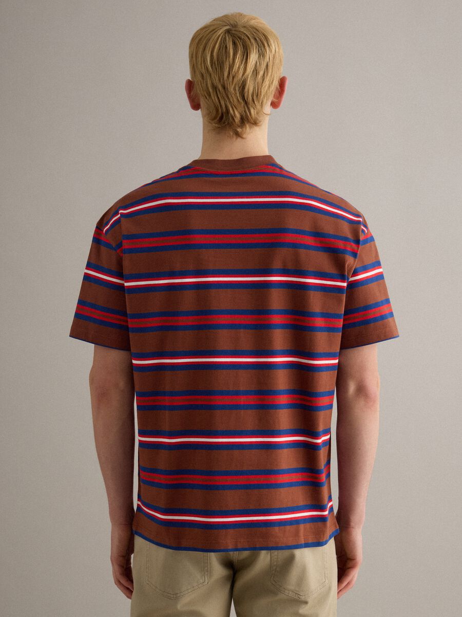 T-shirt in puro cotone a righe multicolor relaxed fit_2