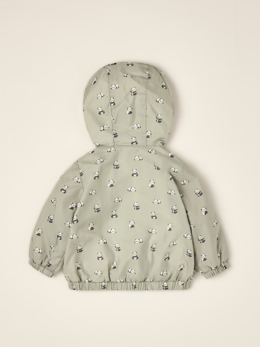 Green padded jacket with hood and panda print_2