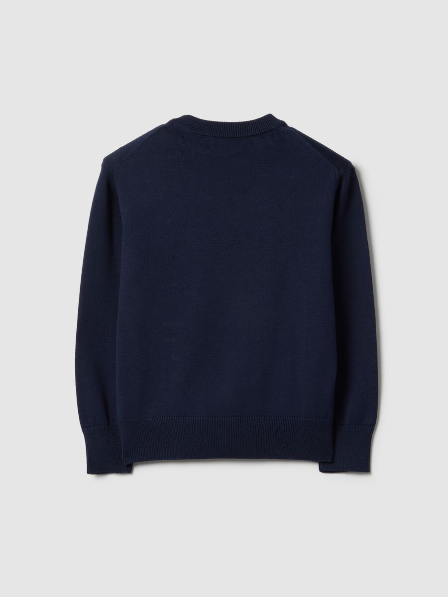 Boys' Blue Crew Neck Pure Cotton Sweater Regular Fit_1