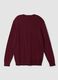 Burgundy viscose-blend crew-neck jumper, regular fit_2