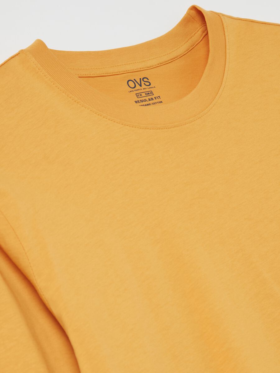 T-shirt with round neck and long sleeves in cotton_5