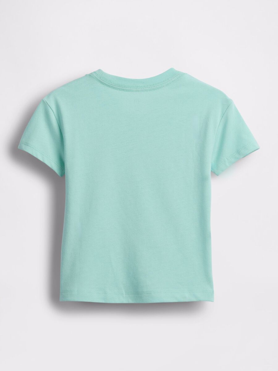Aqua green T-shirt with Snoopy and lemons_1