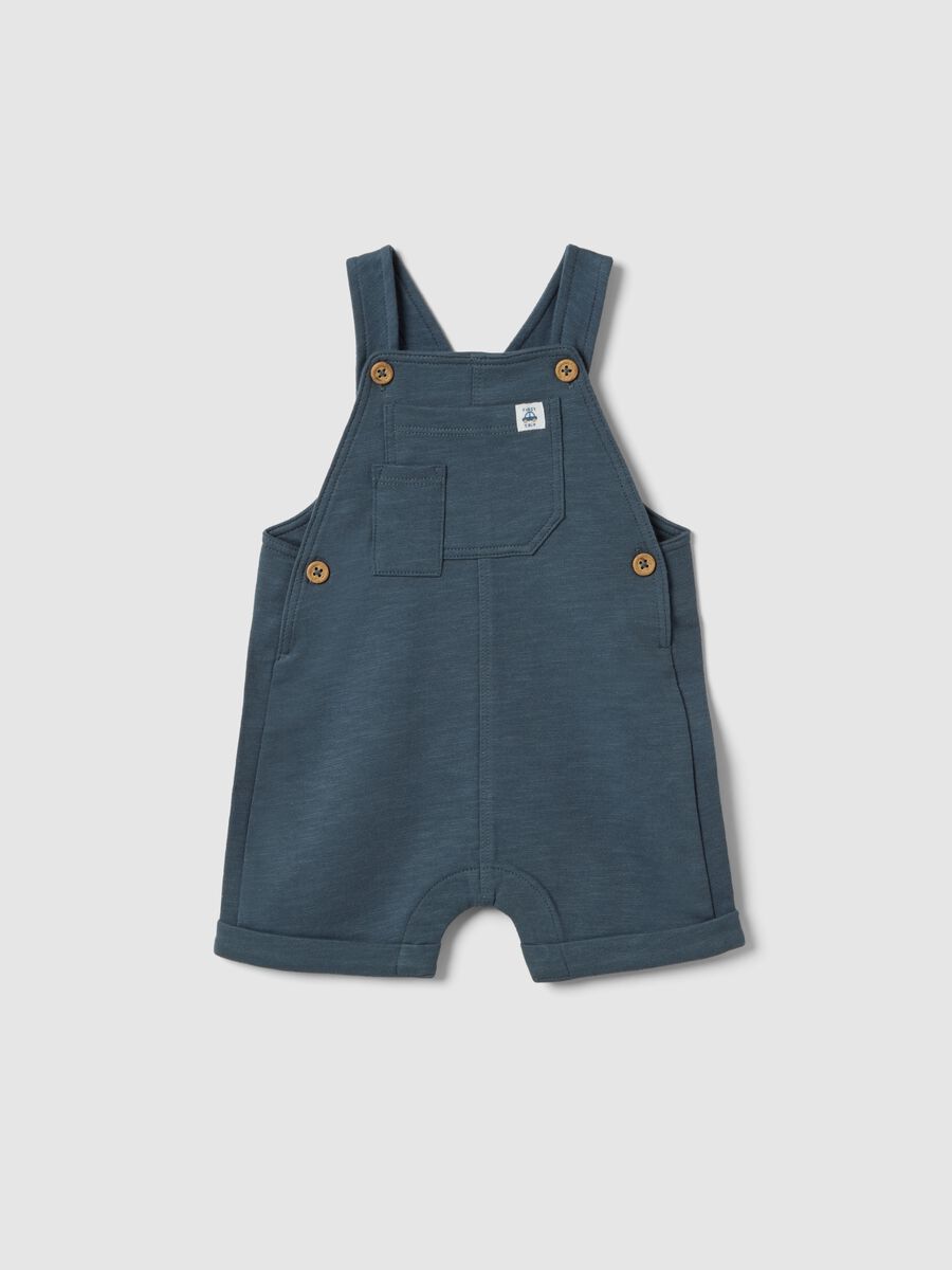 Baby blue cotton dungarees regular fit_0
