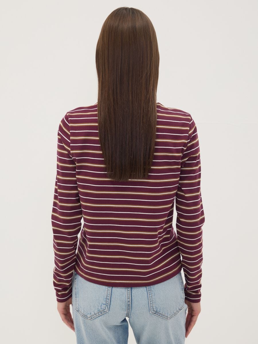 T-shirt multicolor in puro cotone a righe con girocollo regular fit_3