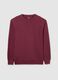 Red pure cotton sweatshirt regular fit_4
