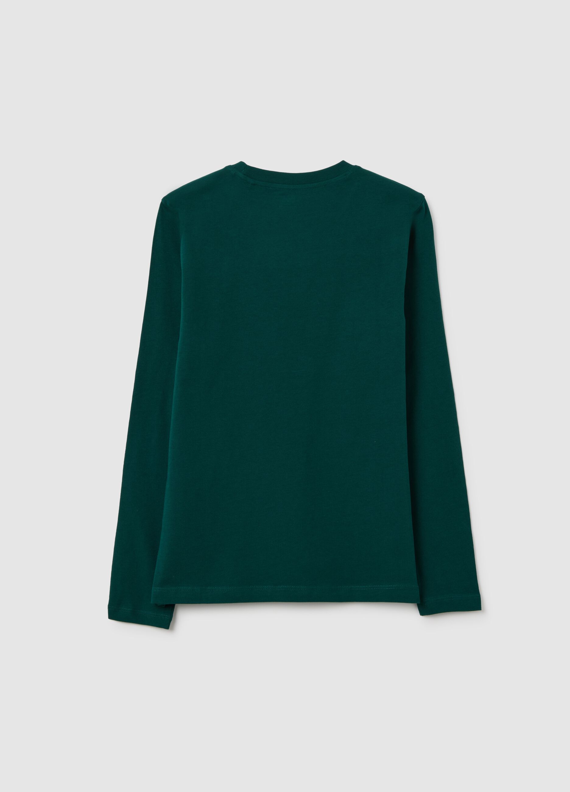 Boys' pure cotton green regular fit jumper