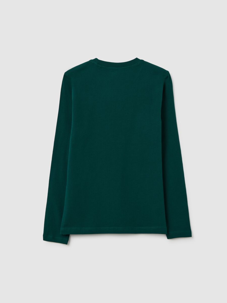 Boys' pure cotton green regular fit jumper_4