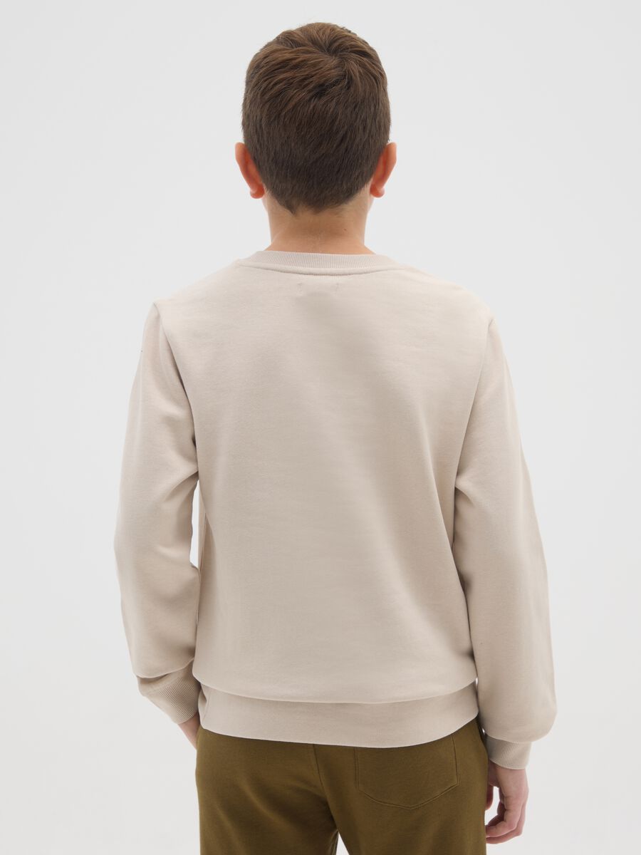 Boys' beige pure cotton sweatshirt with regular fit and round neckline_1