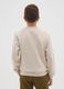 Boys' beige pure cotton sweatshirt with regular fit and round neckline_1