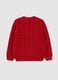 Maglione girocollo rosso da bambino regular fit con design a trecce_1