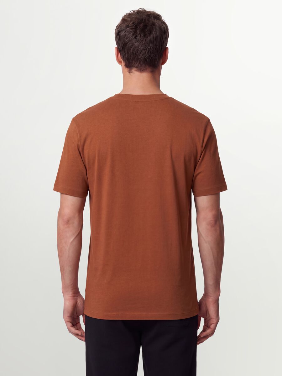 Brown regular-fit T-shirt in pure organic cotton jersey_2