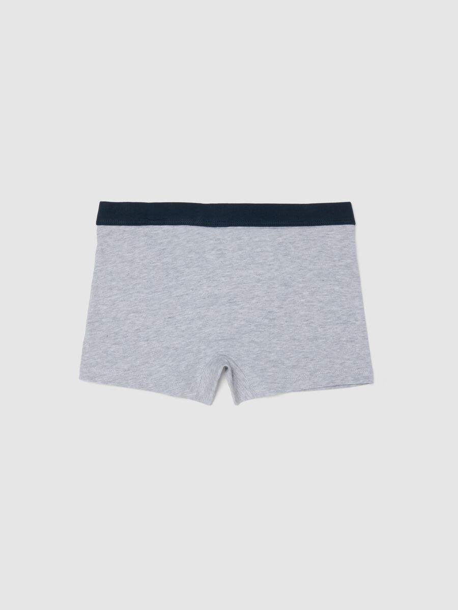 Grey cotton stretch regular fit boxers for boys_1
