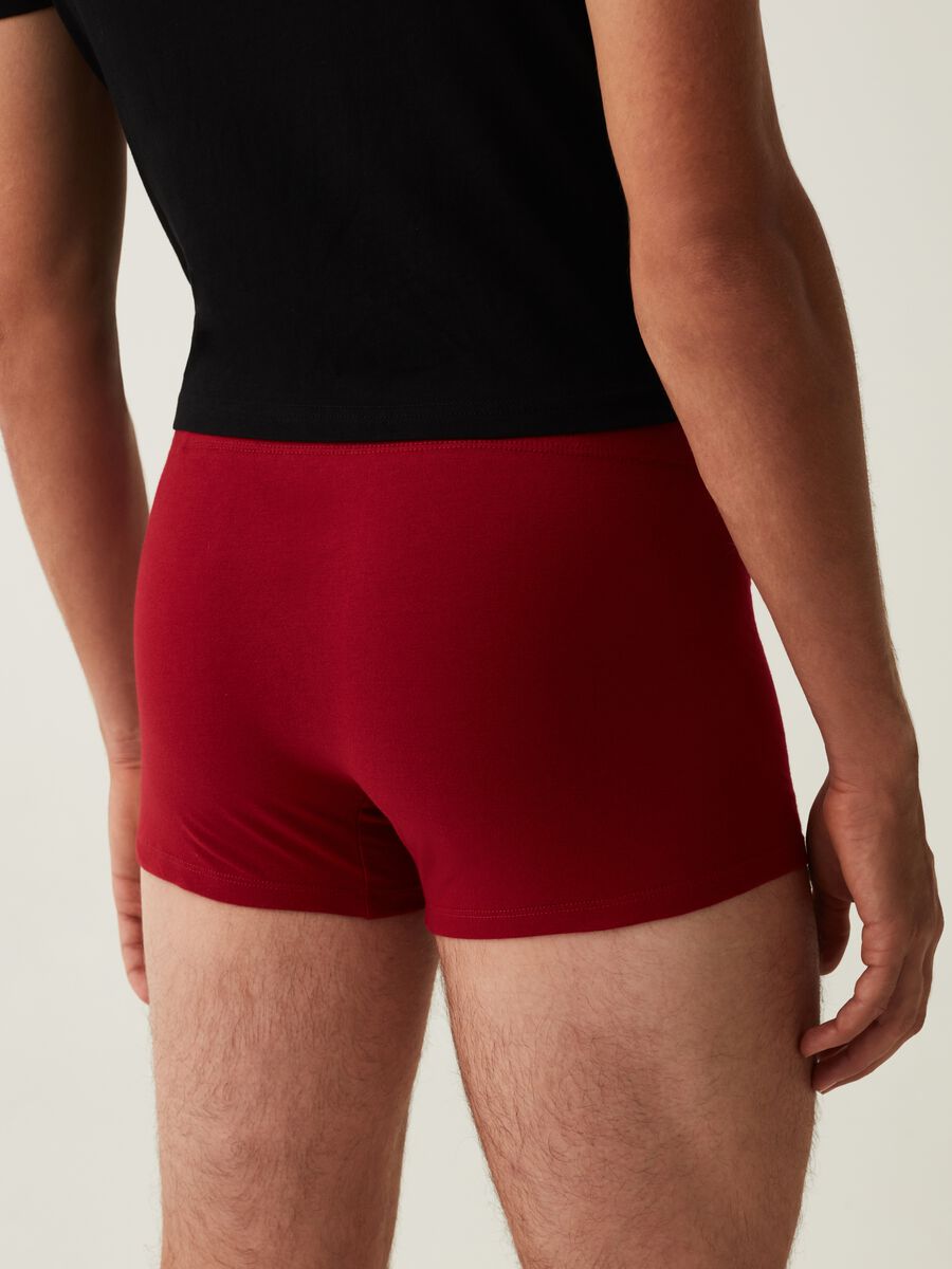 Boxer in cotone con stampa natalizia_3