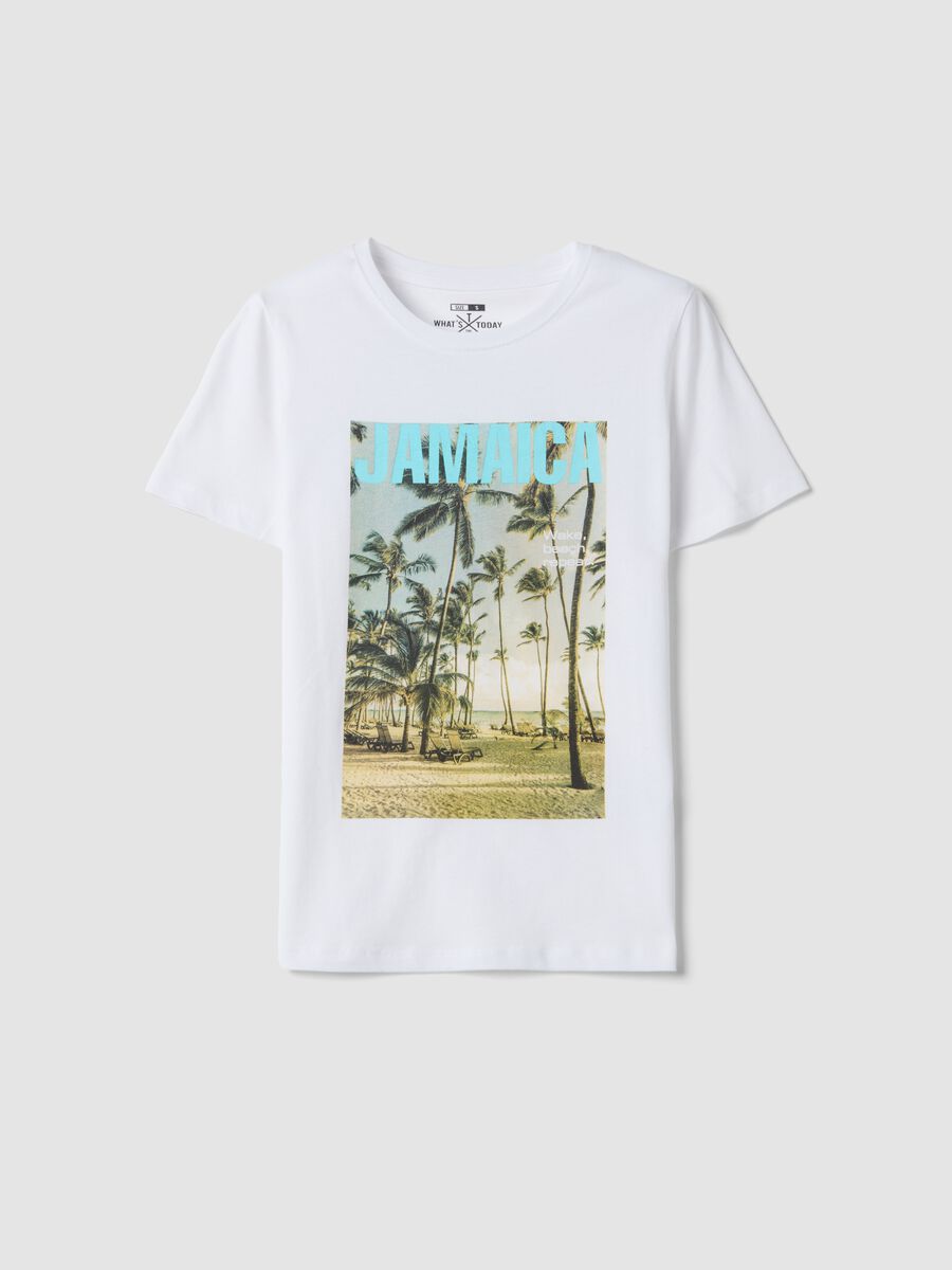 White pure cotton T-shirt with front print, regular fit_0