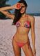 Pink triangle bikini top in stretch fabric_0