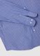 Blue Regular Fit Cotton Blend Shirt_1