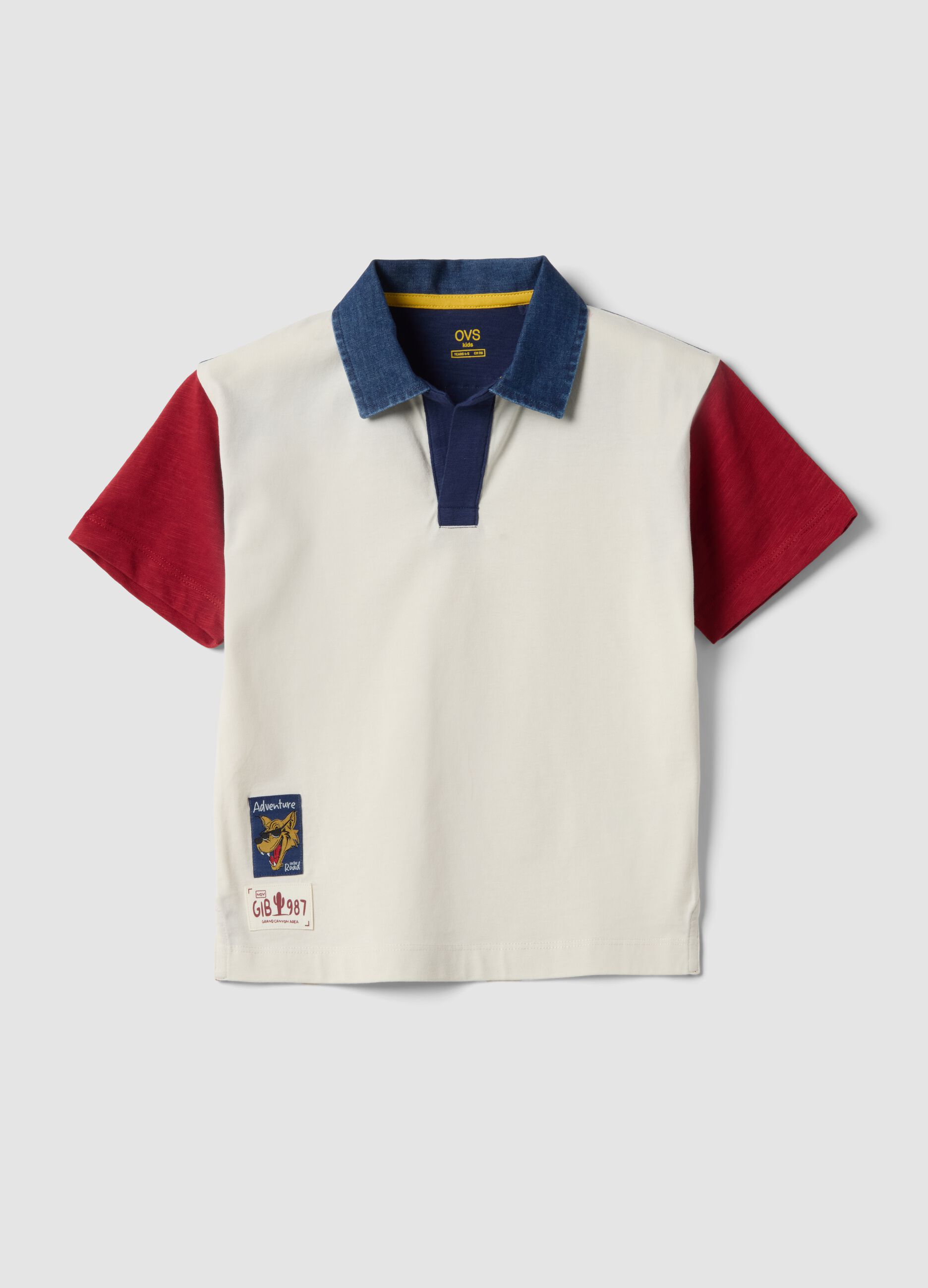 Boys' Multicolour Pure Cotton Polo Shirt &ndash; Oversized Fit