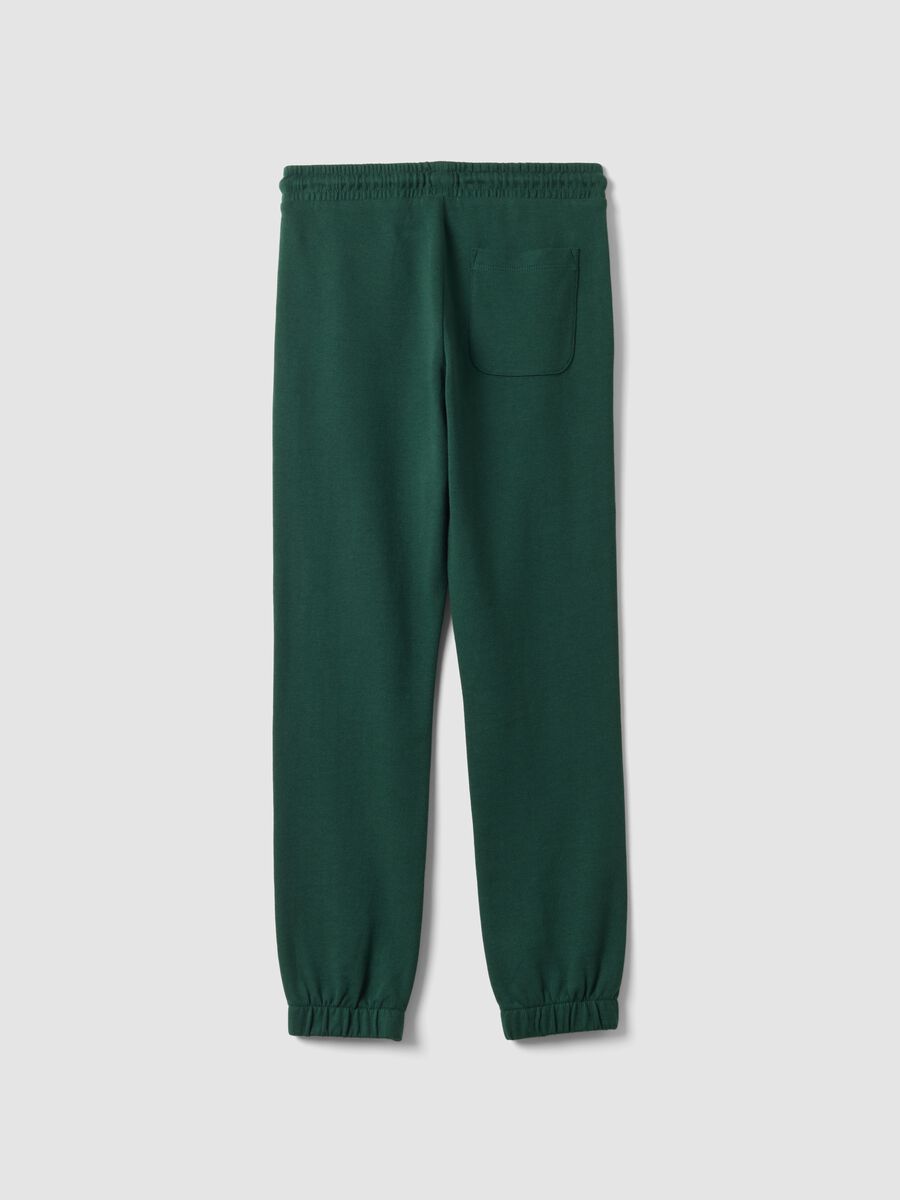 Green pure cotton joggers_1