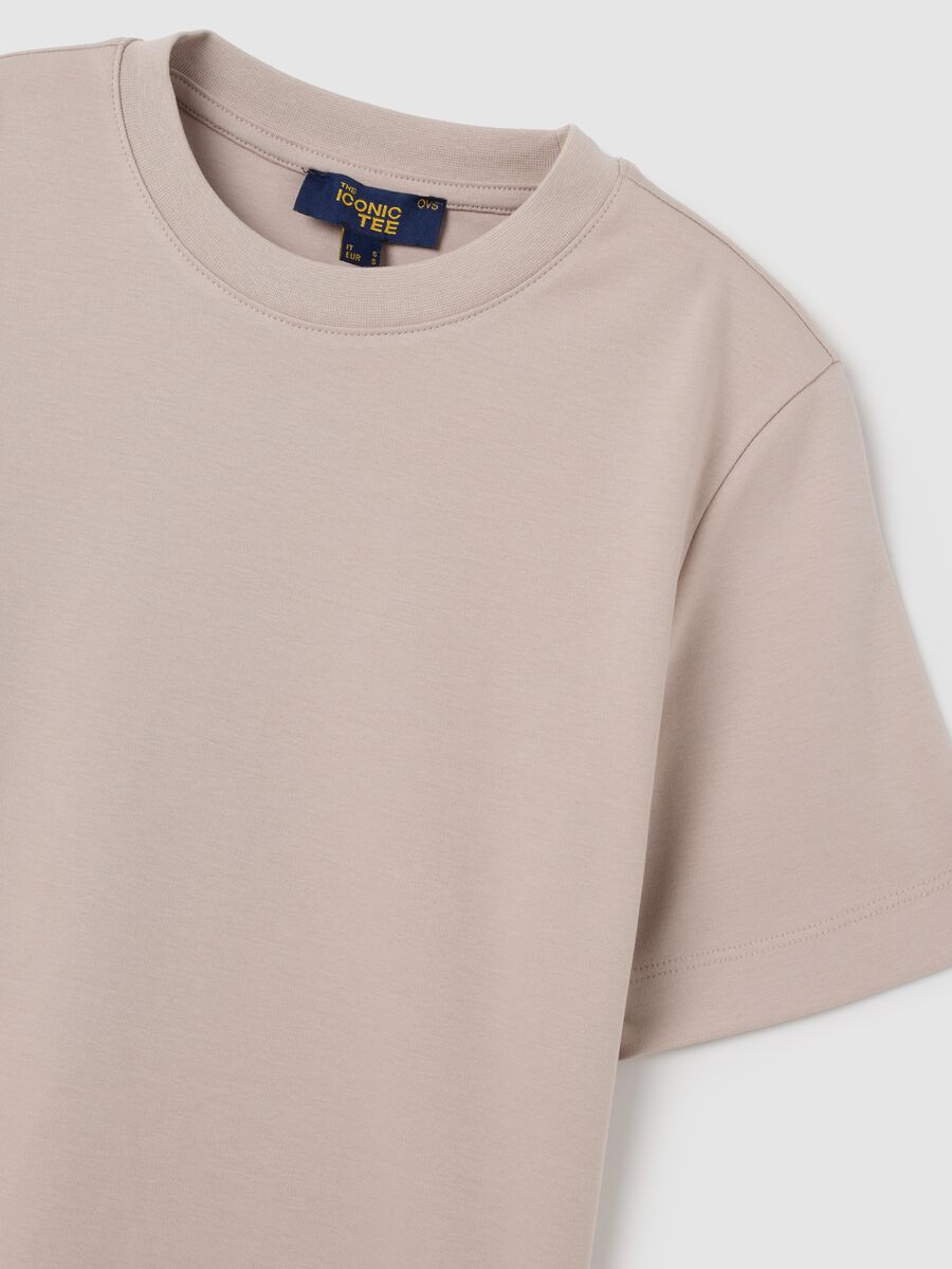 Beige Regular Fit Pure Cotton T-shirt_5
