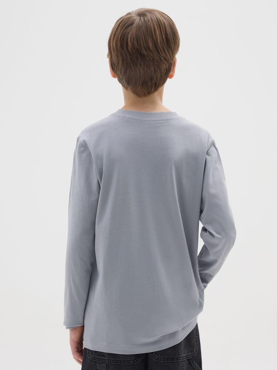 Maglietta da ragazzo in puro cotone grigia regular fit_1