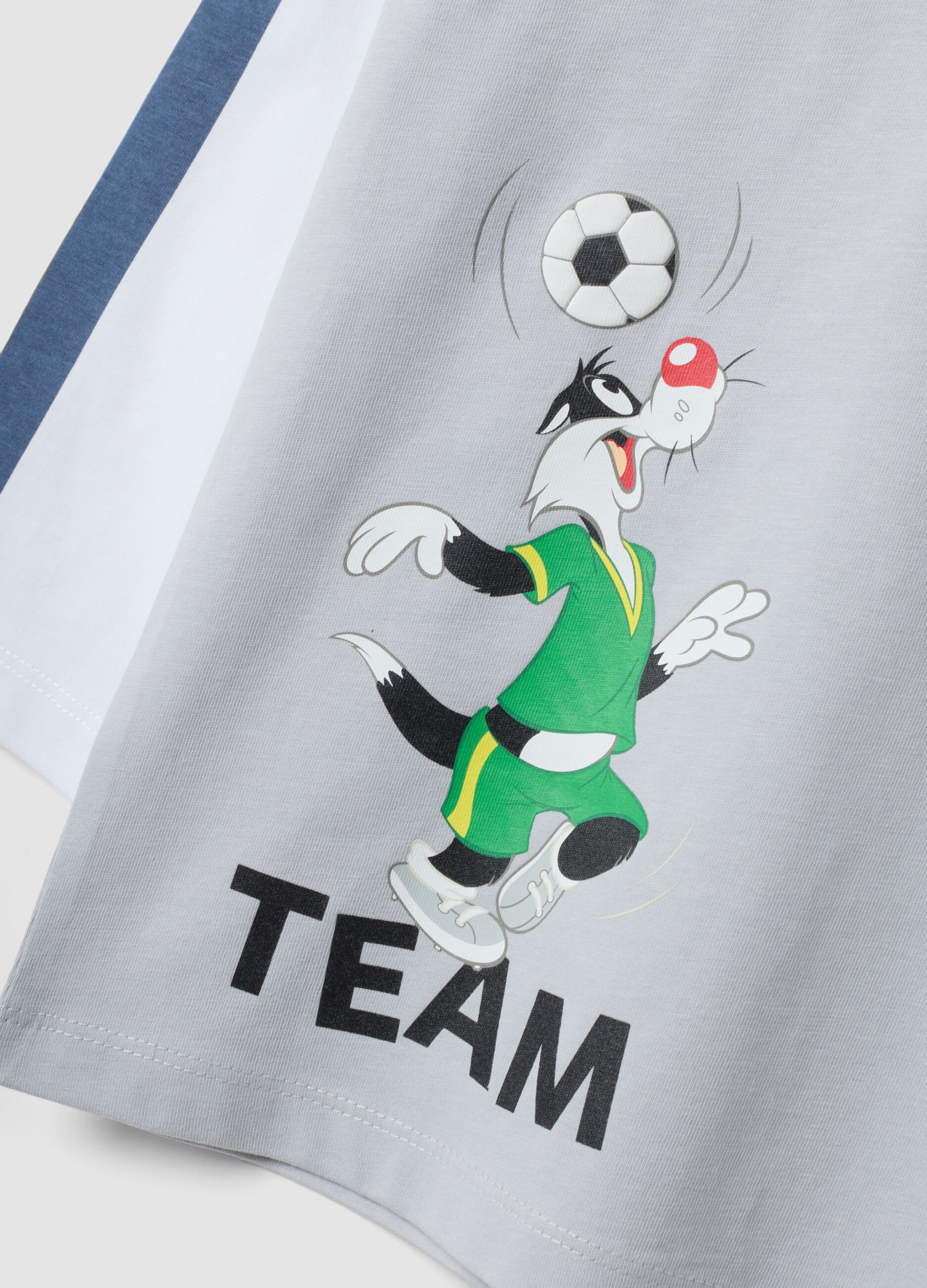 Grey pure cotton long-sleeve Looney Tunes print T-shirt for boys