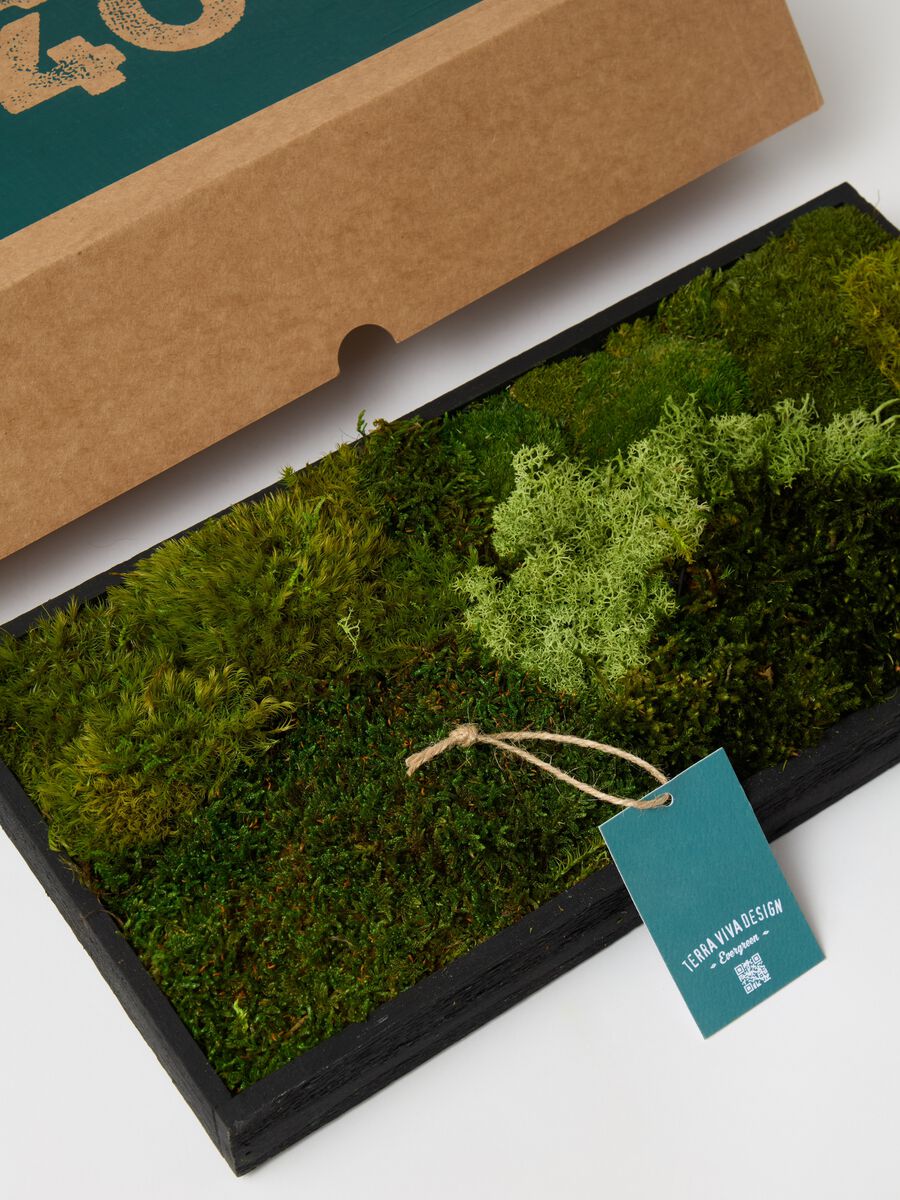 Evergreen Vertical Garden Rectangle_2