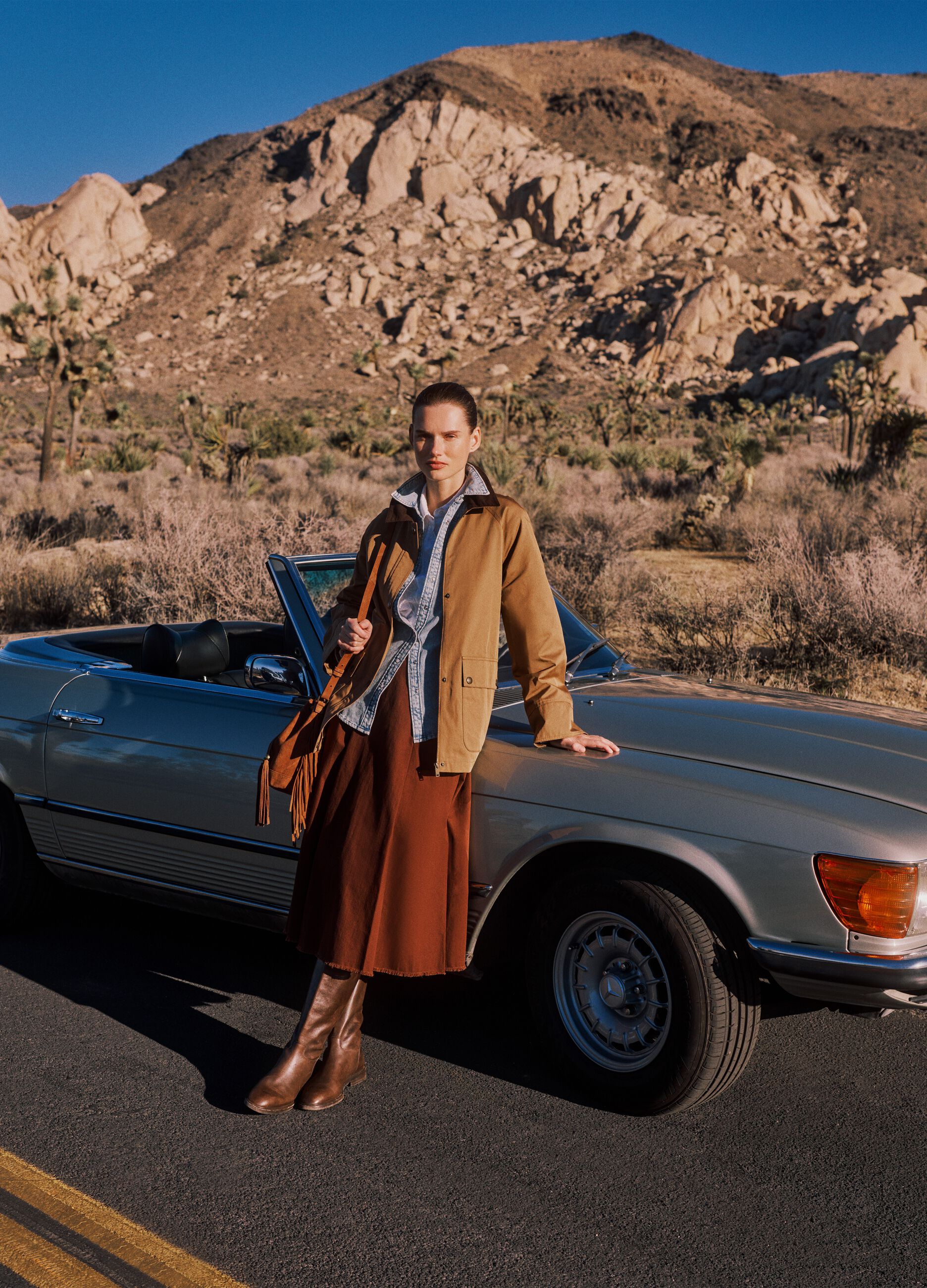 Regular fit brown cotton blend jacket with contrast collar