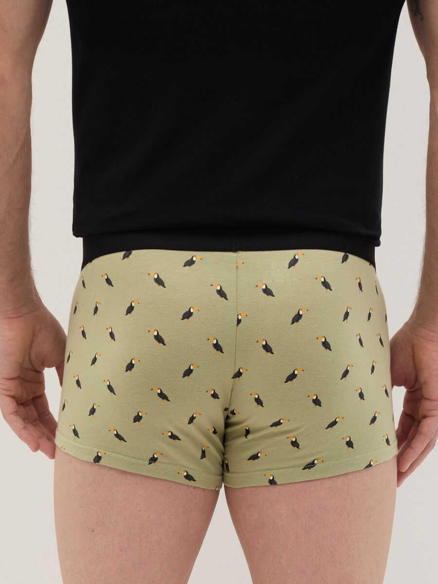 Midi boxer shorts in stretch cotton with pattern._3
