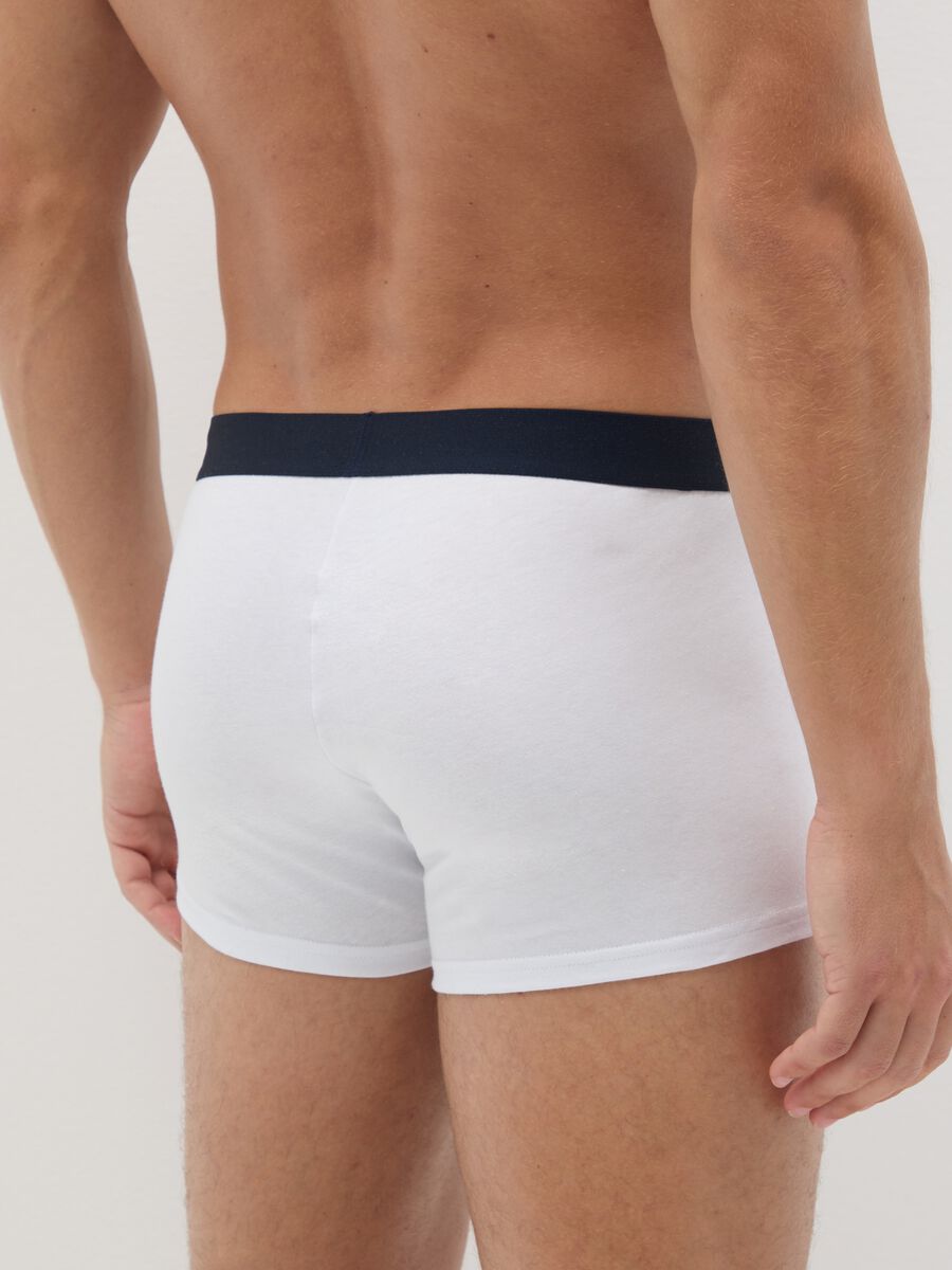 Set multipack boxer in puro cotone multicolor regular fit_2
