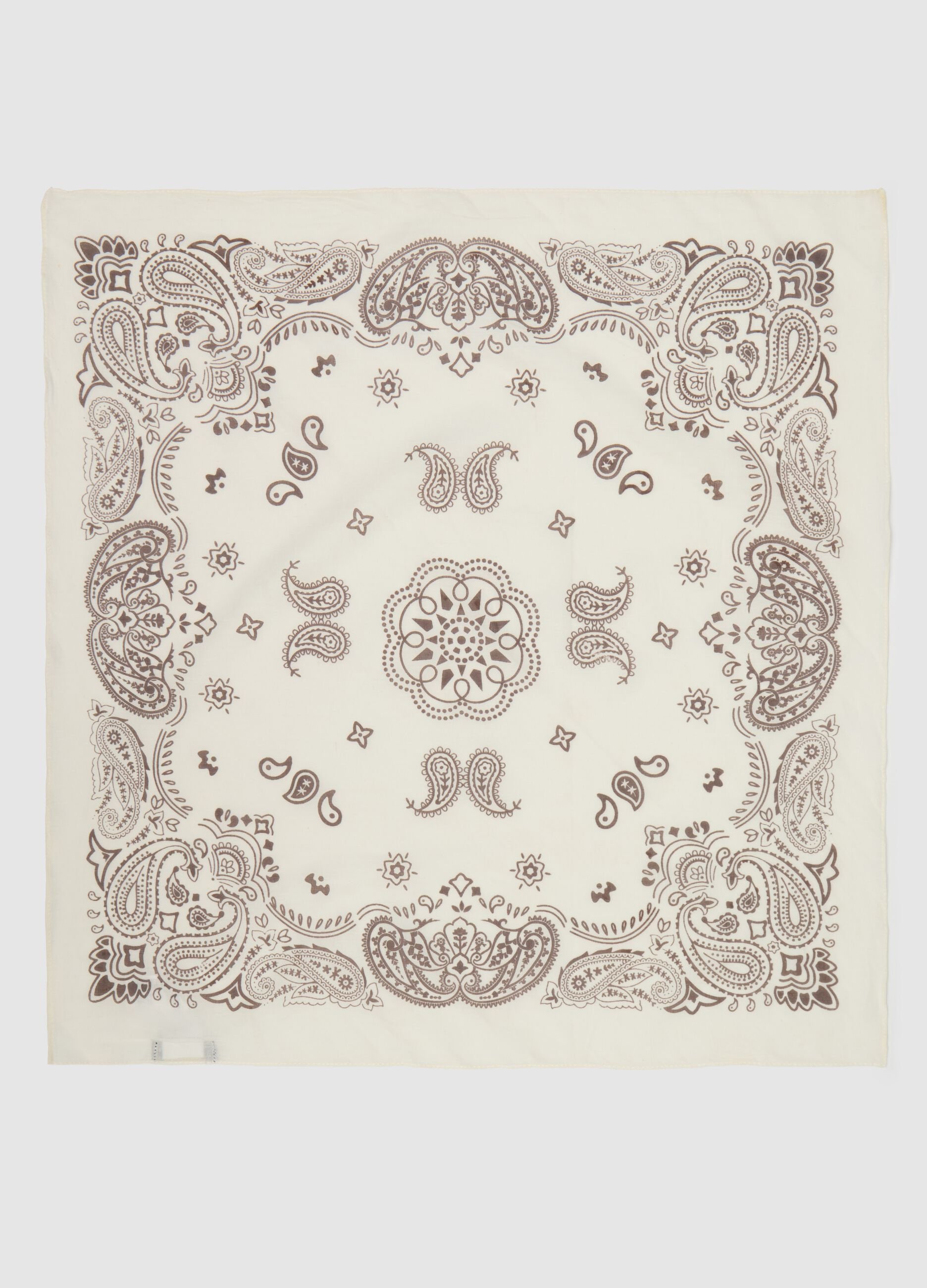 Pashmina in cotone stampa bandana