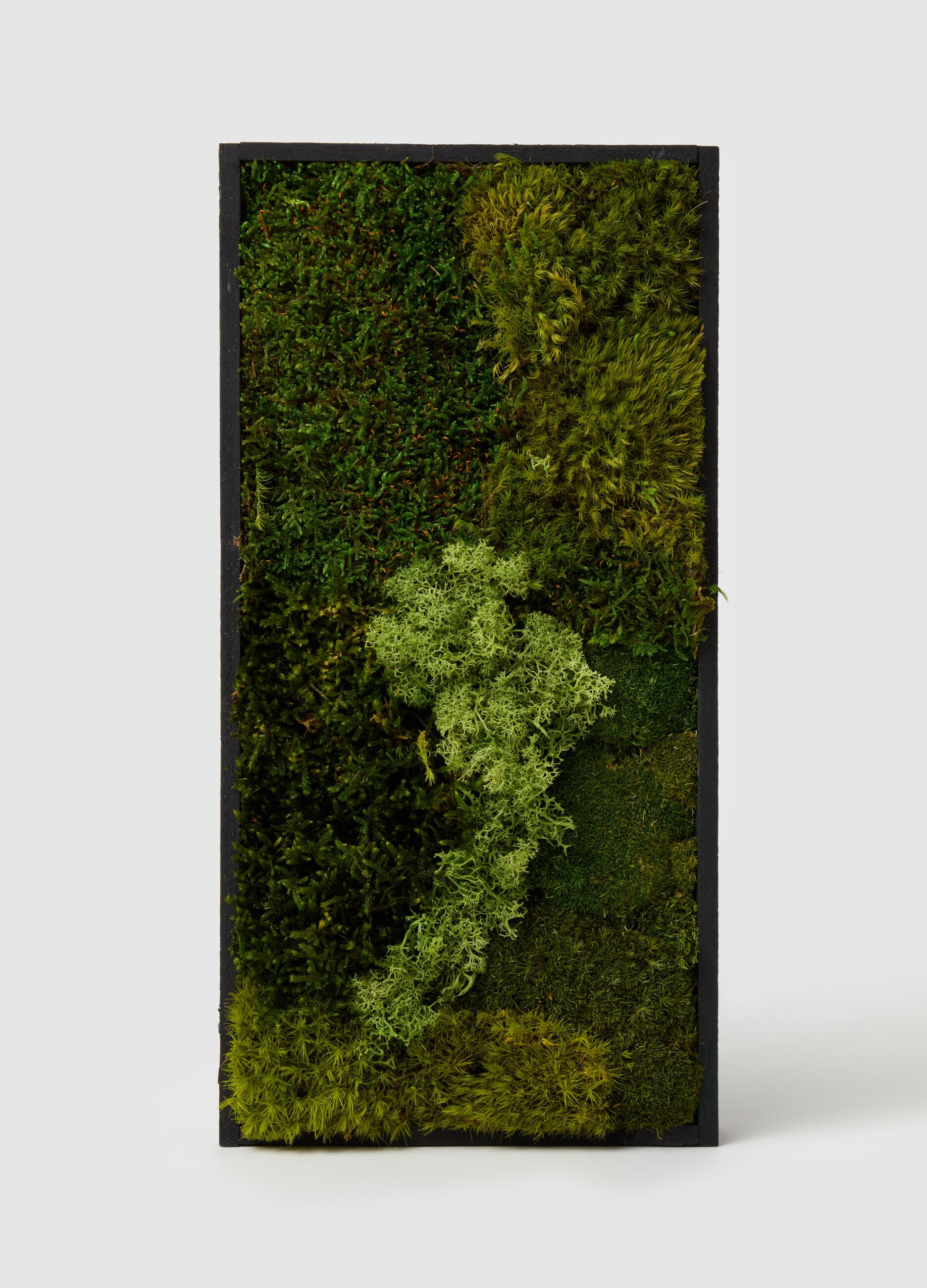 Loading img product 1