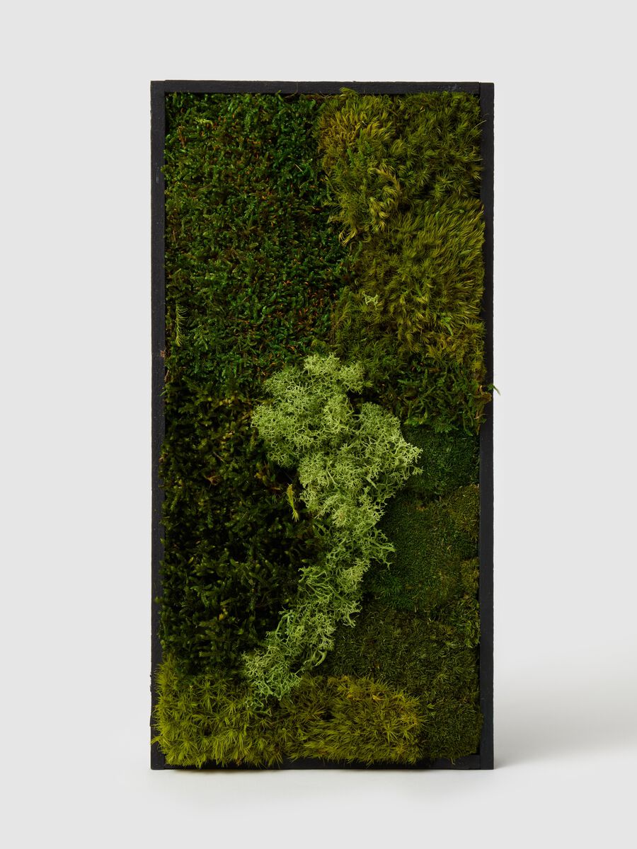 Evergreen Vertical Garden Rectangle_1