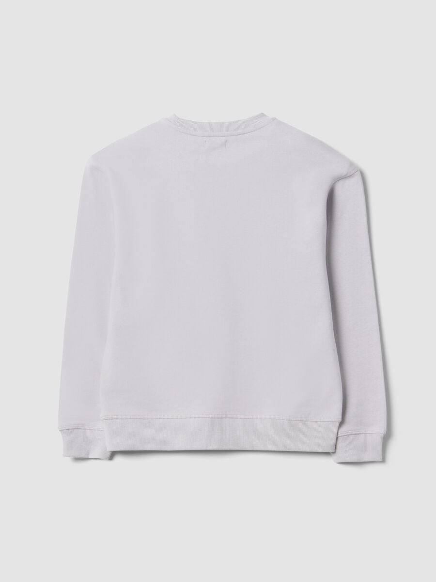 Grey pure cotton crew-neck sweatshirt for boys, relaxed fit_4
