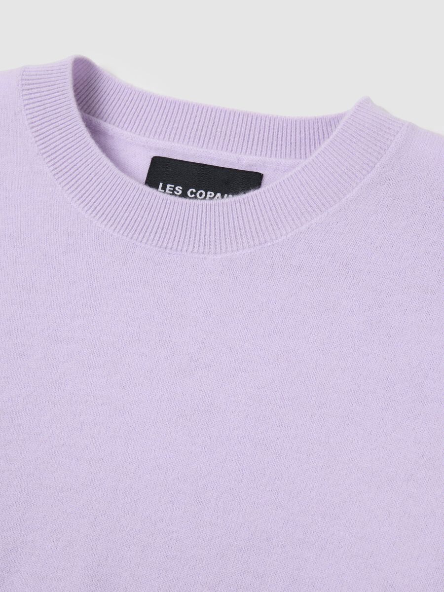 Pure Wool Purple Sweater Regular Fit_5