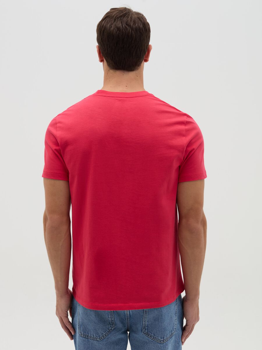 Organic cotton T-shirt with V neck_2