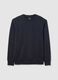 Pure cotton blue sweatshirt regular fit_4