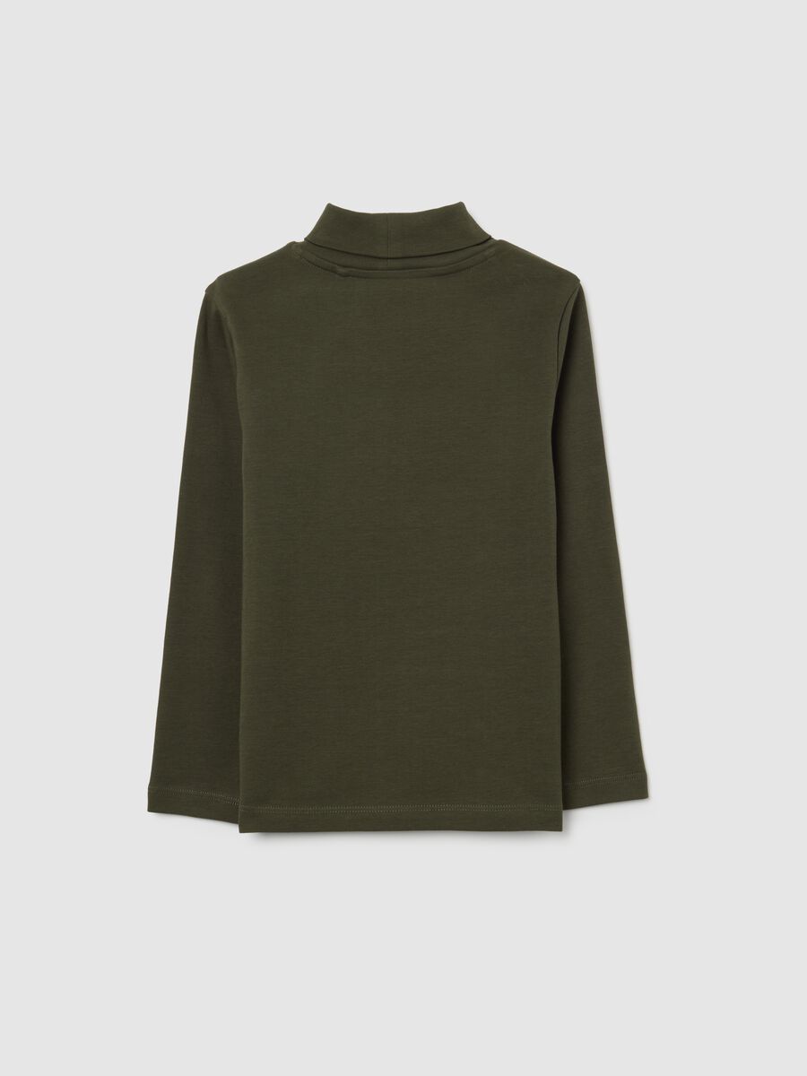 Kid's green pure cotton regular fit sweater_1