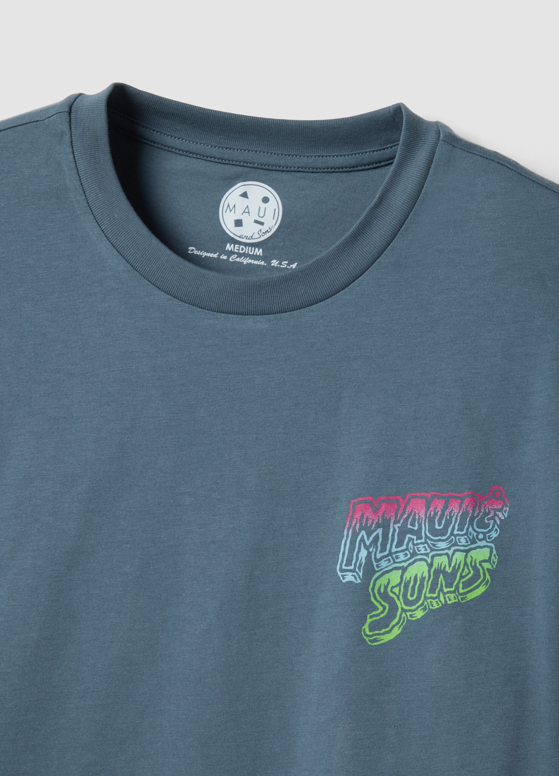 Light blue pure cotton short-sleeve T-shirt, relaxed fit with print