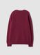 Red crew-neck jumper in pure wool, regular fit_1