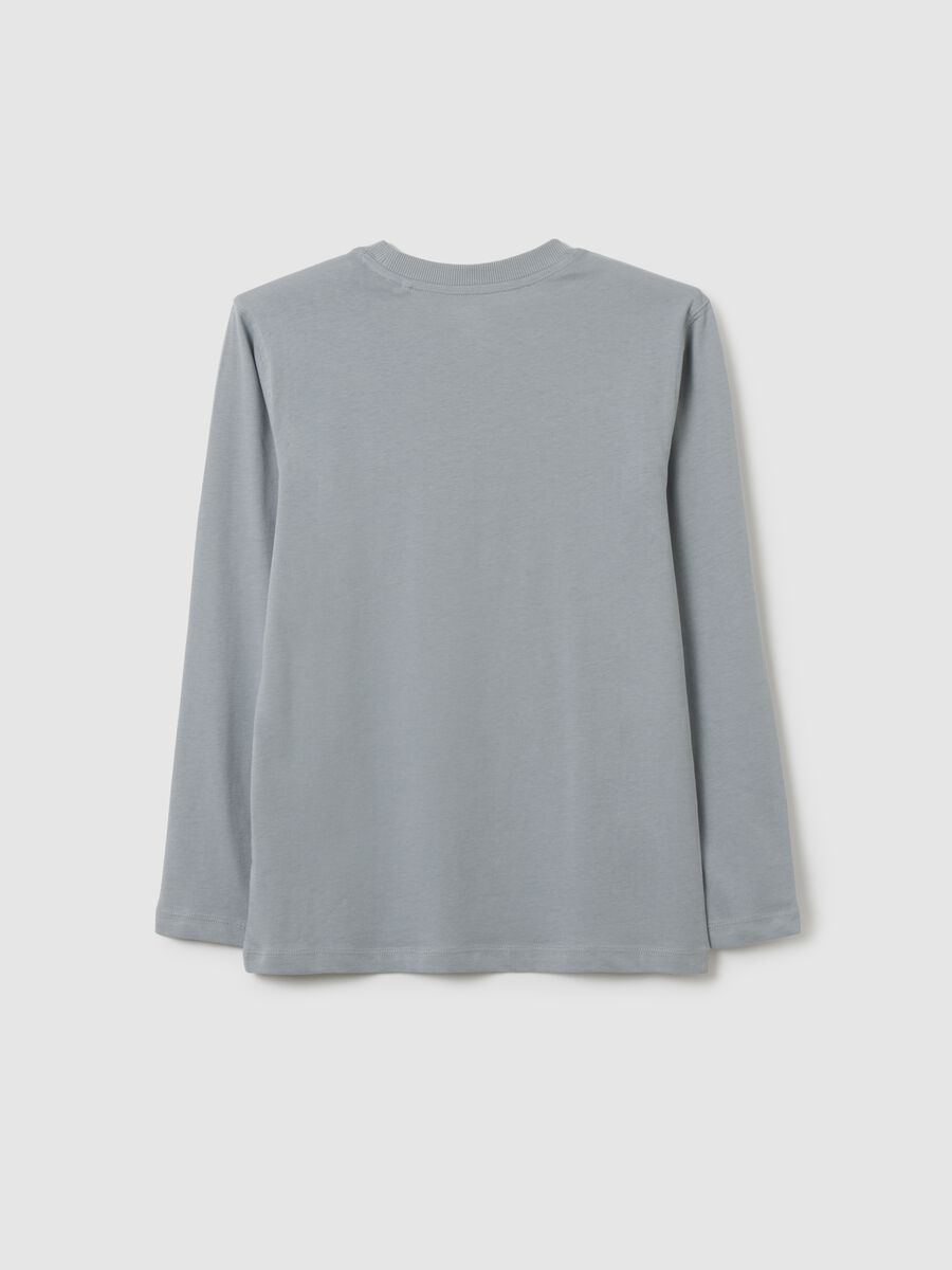 Maglietta da ragazzo in puro cotone grigia regular fit_1