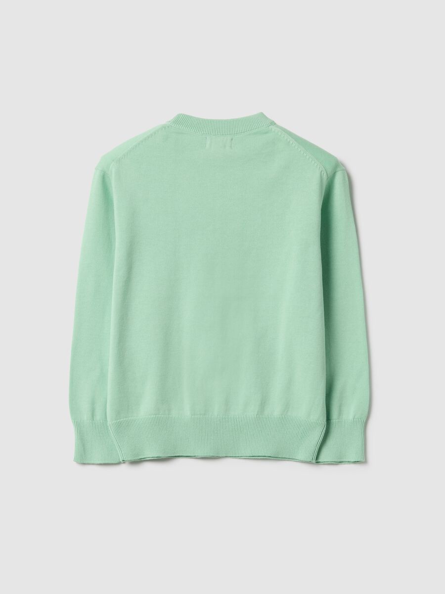Green cotton crew neck sweater for boys regular fit_1