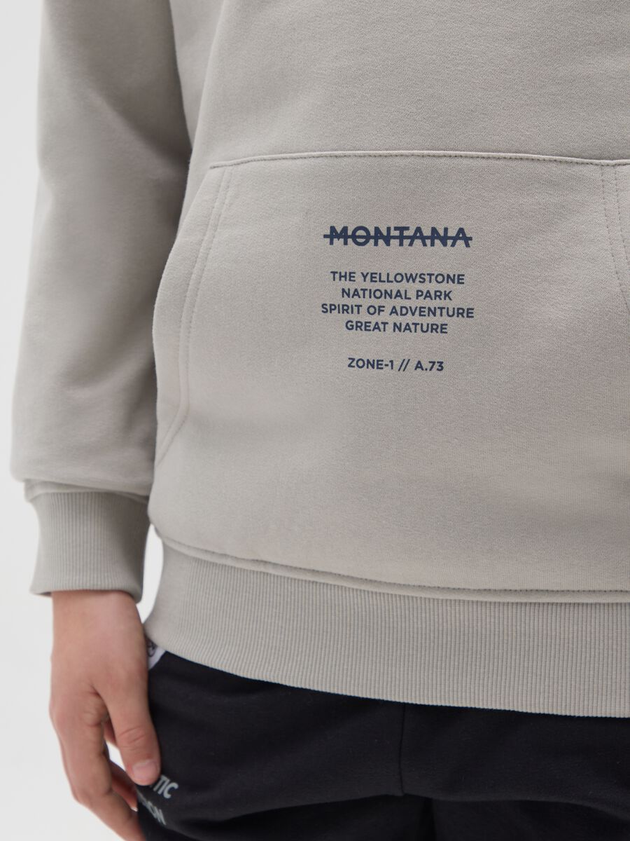 Felpa con cappuccio grigia da ragazzo in puro cotone regular fit_2