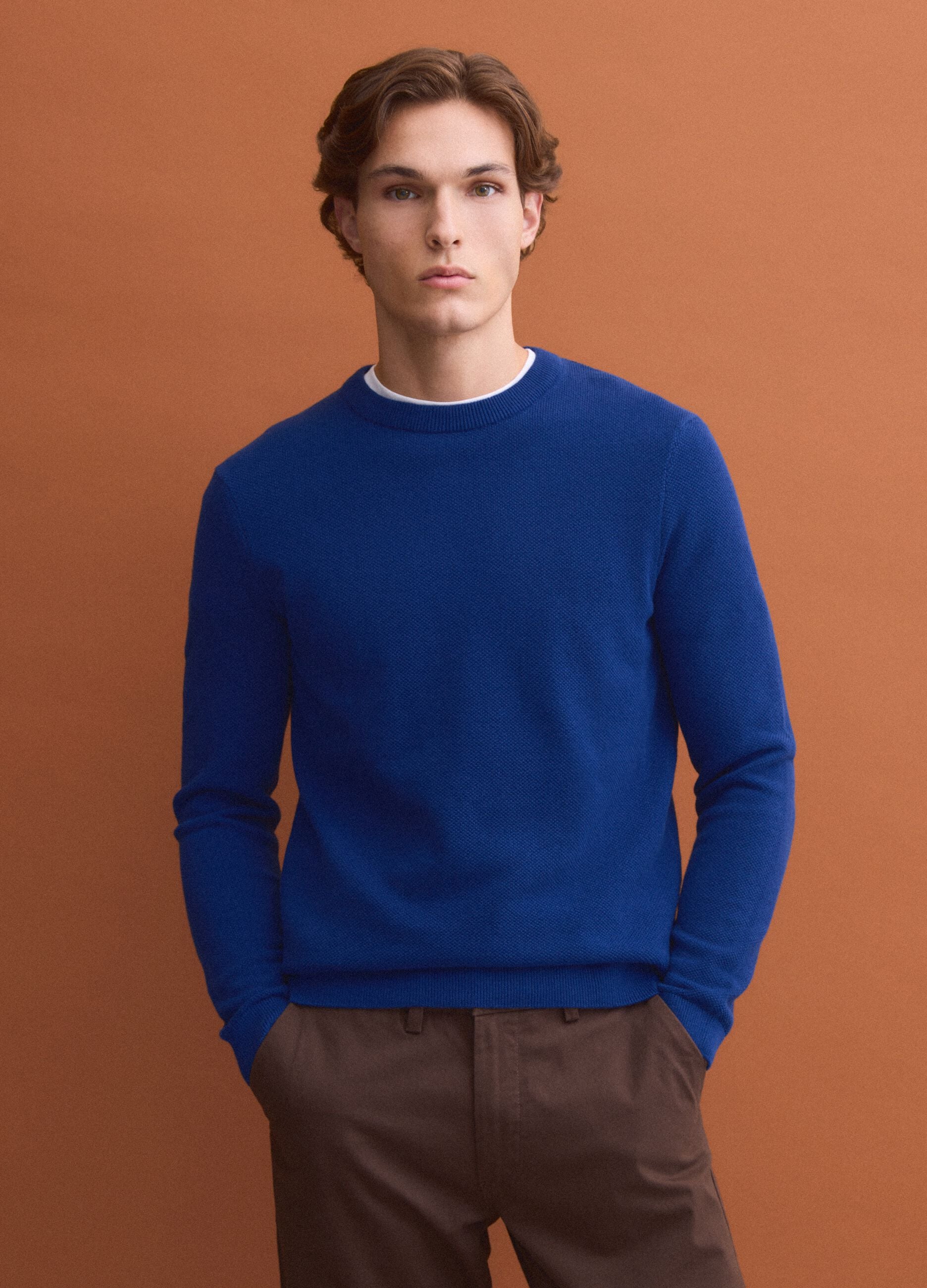 Blue pure cotton crew-neck jumper, regular fit