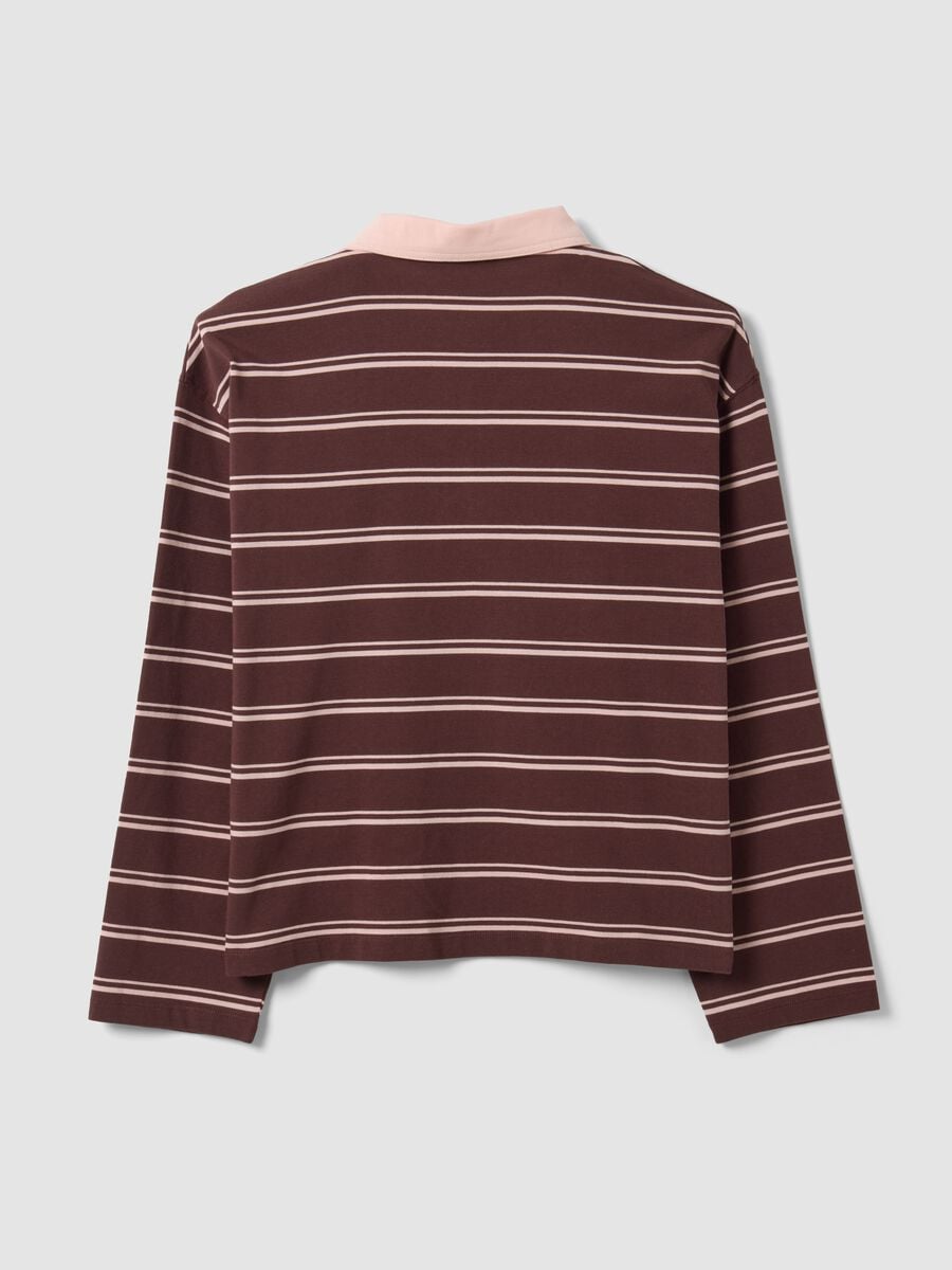 Polo marrone in puro cotone a righe maniche lunghe regular fit_6