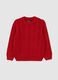 Maglione girocollo rosso da bambino regular fit con design a trecce_1