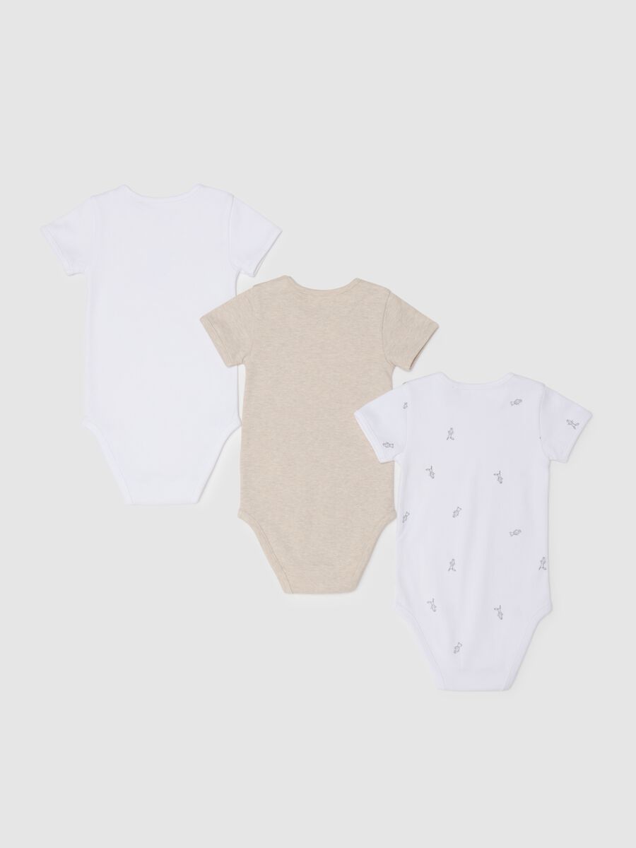 Multicolour Organic Cotton Baby Bodysuit_1