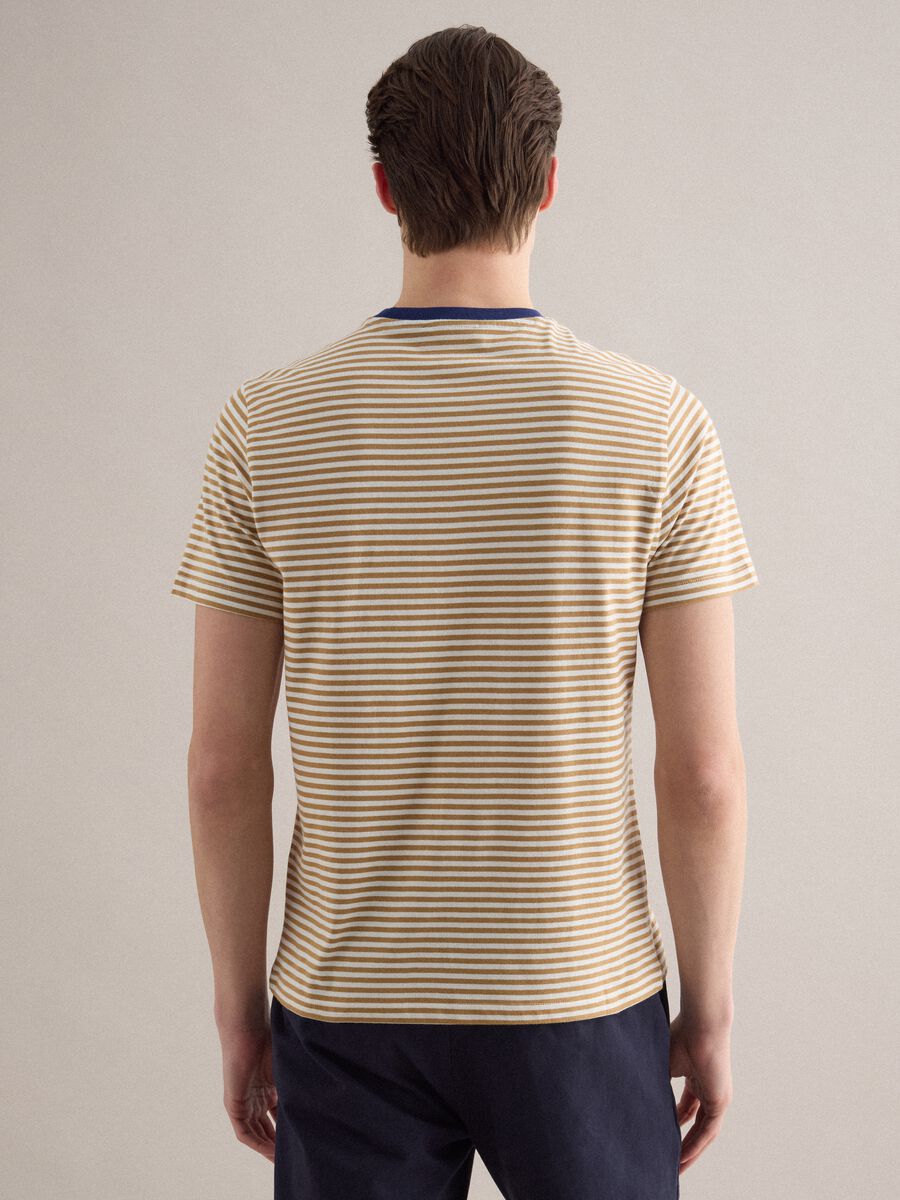 T-shirt in puro cotone a righe multicolor regular fit_3